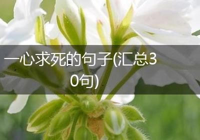 一心求死的句子(汇总30句)