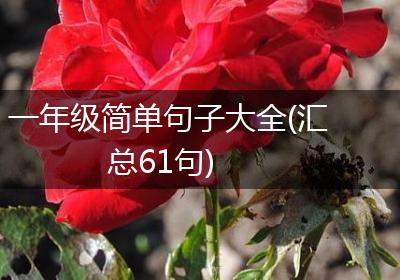 一年级简单句子大全(汇总61句)