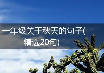 一年级关于秋天的句子(精选20句)