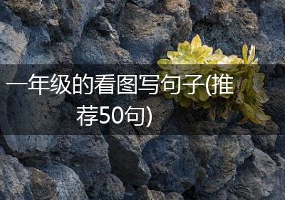 一年级的看图写句子(推荐50句)