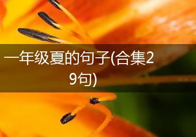 一年级夏的句子(合集29句)