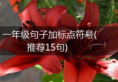 一年级句子加标点符号(推荐15句)