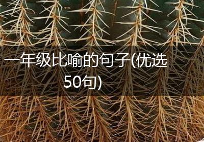 一年级比喻的句子(优选50句)