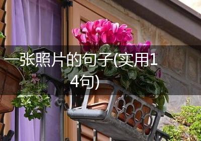 一张照片的句子(实用14句)