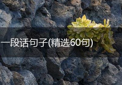 一段话句子(精选60句)