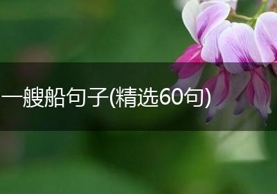 一艘船句子(精选60句)