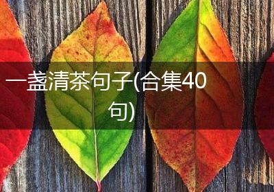 一盏清茶句子(合集40句)