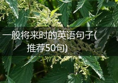 一般将来时的英语句子(推荐50句)