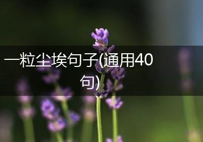 一粒尘埃句子(通用40句)