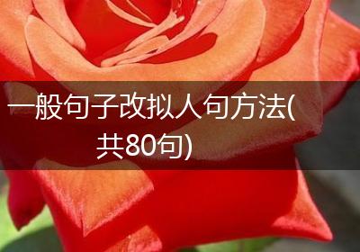 一般句子改拟人句方法(共80句)