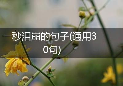 一秒泪崩的句子(通用30句)