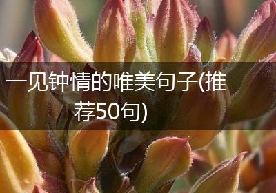 一见钟情的唯美句子(推荐50句)
