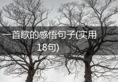 一首歌的感悟句子(实用18句)
