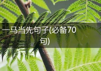 一马当先句子(必备70句)