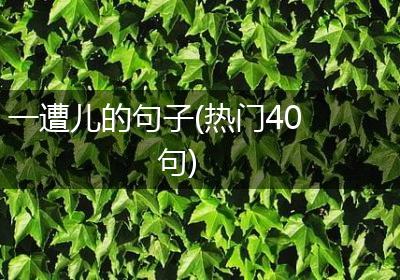 一遭儿的句子(热门40句)