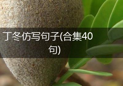 丁冬仿写句子(合集40句)