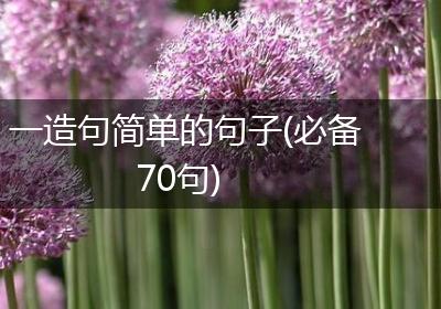 一造句简单的句子(必备70句)