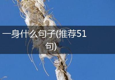 一身什么句子(推荐51句)