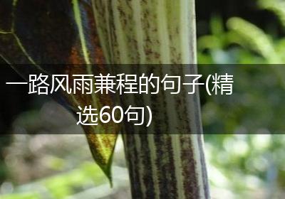 一路风雨兼程的句子(精选60句)