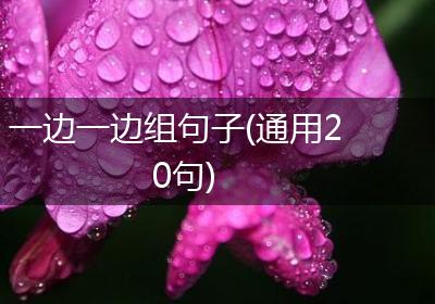 一边一边组句子(通用20句)
