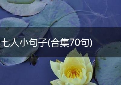 七人小句子(合集70句)