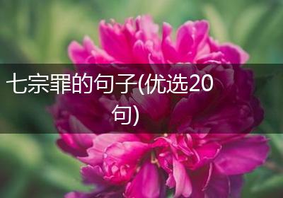 七宗罪的句子(优选20句)