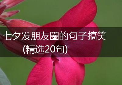 七夕发朋友圈的句子搞笑(精选20句)
