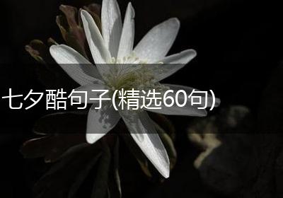 七夕酷句子(精选60句)