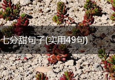 七分甜句子(实用49句)
