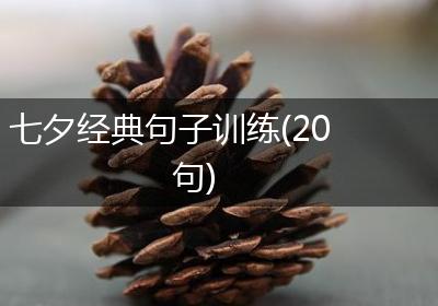 七夕经典句子训练(20句)