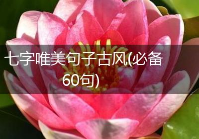 七字唯美句子古风(必备60句)