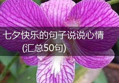 七夕快乐的句子说说心情(汇总50句)