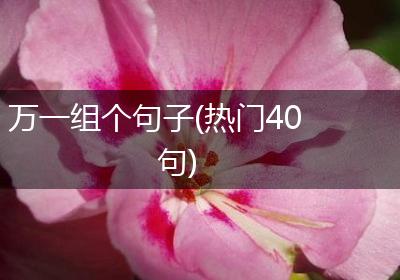 万一组个句子(热门40句)