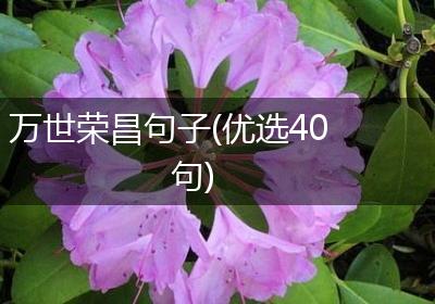 万世荣昌句子(优选40句)