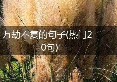 万劫不复的句子(热门20句)