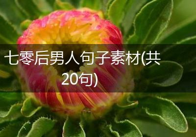 七零后男人句子素材(共20句)