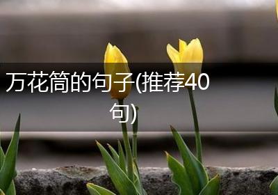万花筒的句子(推荐40句)