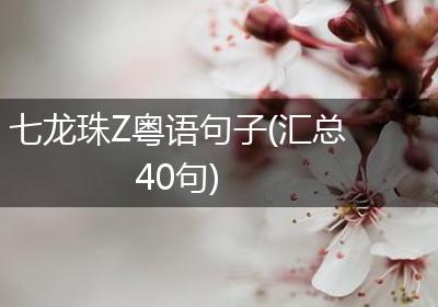 七龙珠Z粤语句子(汇总40句)