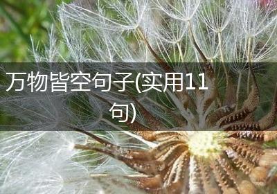 万物皆空句子(实用11句)
