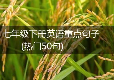 七年级下册英语重点句子(热门50句)