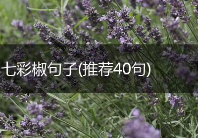 七彩椒句子(推荐40句)