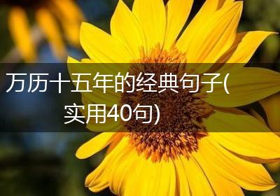 万历十五年的经典句子(实用40句)