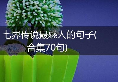 七界传说最感人的句子(合集70句)