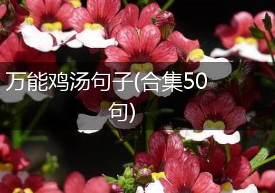万能鸡汤句子(合集50句)