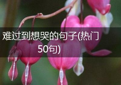 难过到想哭的句子(热门50句)