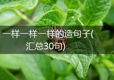 一样一样一样的造句子(汇总30句)