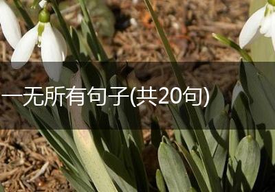 一无所有句子(共20句)