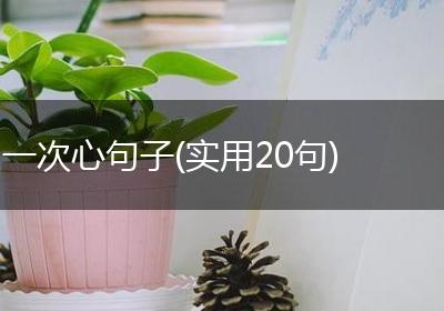 一次心句子(实用20句)