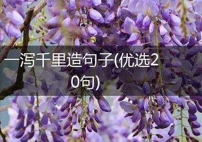 一泻千里造句子(优选20句)