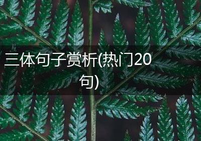 三体句子赏析(热门20句)